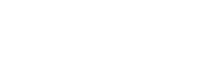 Revisori Legali - FAD